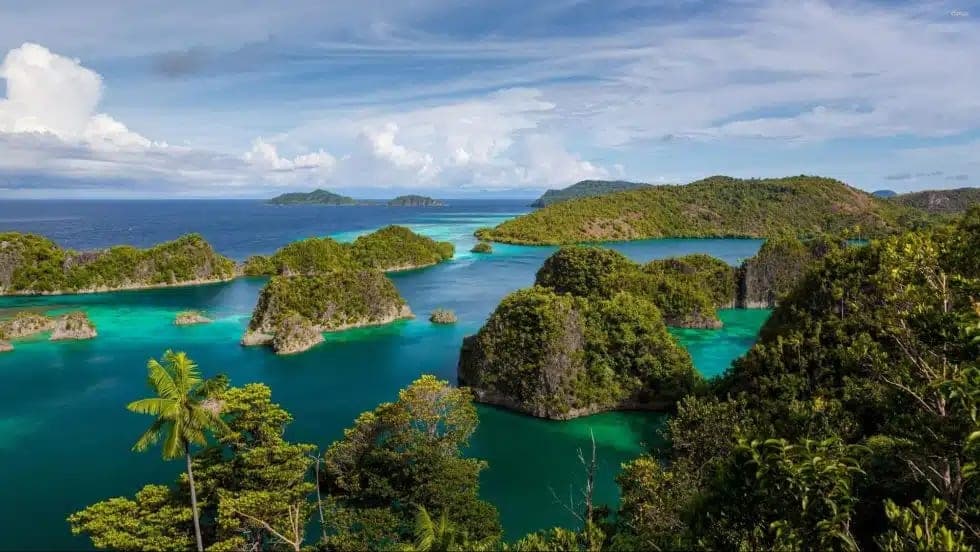 5D4N Raja Ampat Paradise
